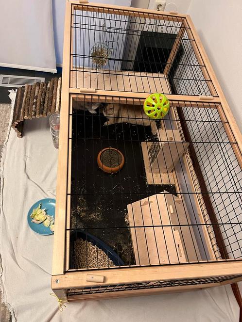 Konijnenhok in prima staat, Dieren en Toebehoren, Knaagdieren en Konijnen | Hokken en Kooien, Gebruikt, Hok, Minder dan 60 cm