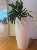 Elho plantpotten / bloempotten / planten, Tuin en Terras, Bloempotten, Kunststof, Rond, Binnen, Zo goed als nieuw