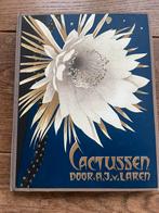 A.J.v. Laren, Cactussen, Ophalen