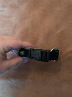 Hunter Hondenhalsband, Dieren en Toebehoren, Ophalen, Nieuw