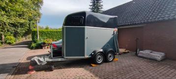 Bockman(verkocht)+springzadel Stubben Roxane Mt 31, 18inch  beschikbaar voor biedingen