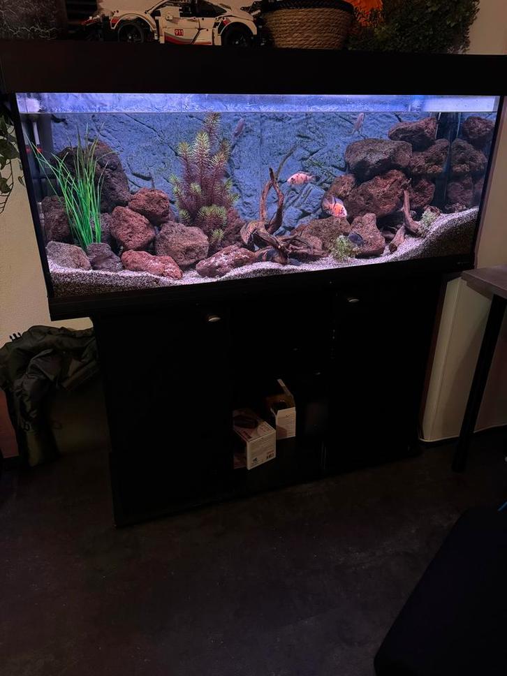 Aquarium 240L, Dieren en Toebehoren, Vissen | Aquaria en Toebehoren, Gebruikt, Gevuld zoetwateraquarium, Ophalen