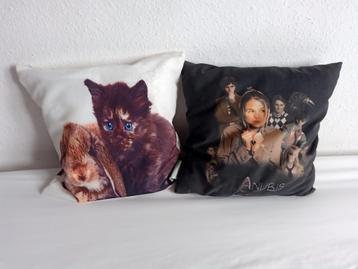 Twee decoratieve kussens. Huis Anubis en kitten, konijn.  beschikbaar voor biedingen