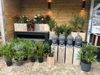 ACTIE ALLES €25 P.STUK, Ophalen, Nieuw, Rond, Minder dan 60 cm