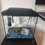 Superfish Aquarium, Dieren en Toebehoren, Vissen | Aquaria en Toebehoren, Ophalen, Zo goed als nieuw, Leeg aquarium