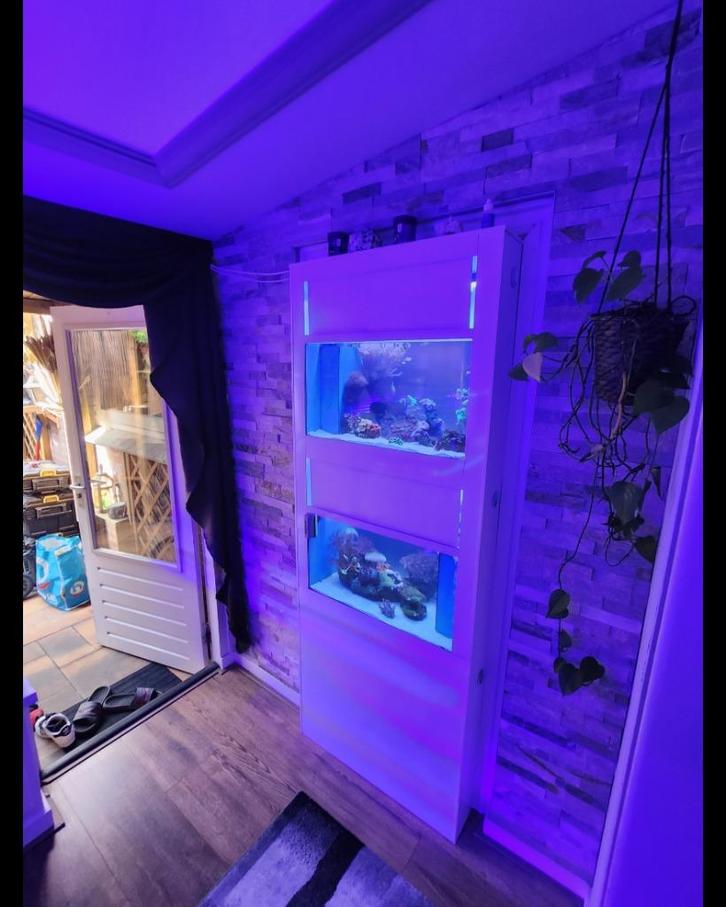 Zeeaquarium, Dieren en Toebehoren, Vissen | Aquaria en Toebehoren, Zo goed als nieuw, Gevuld zeewateraquarium, Ophalen of Verzenden