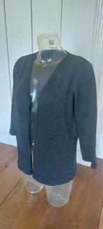 Donkergrijs vestje m glitter in stof maat M merk UP2 fashion, Ophalen of Verzenden, Zo goed als nieuw, Maat 38/40 (M), Grijs