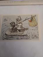 KONIJN MAG MEEVAREN OP EEND, Verzamelen, Ansichtkaarten | Themakaarten, Ophalen of Verzenden, Natuur