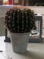 Grote Kunst Cactus in Pot - Decoratief, Overige soorten, Vaste plant, Ophalen of Verzenden, Bloeit niet