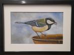 Schilderij koolmees 216 - gratis lijst - origineel cadeau, Ophalen of Verzenden
