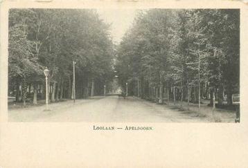 (300-487-041) Apeldoorn Loolaan beschikbaar voor biedingen
