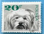 446. Polen gestempeld * HONDEN - MALTESER *, Postzegels en Munten, Ophalen of Verzenden, Gestempeld, Dier of Natuur