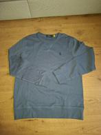 Ralph Lauren Sweater, Kleding | Heren, Truien en Vesten, Ralph Lauren, Zo goed als nieuw, Verzenden, Maat 48/50 (M)
