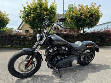 Harley-davidson street bob streetbob m8 5HD  beschikbaar voor biedingen