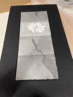 kunst werk omweer - La foudre en boule 1 van 27 cltg, Antiek en Kunst, Kunst | Litho's en Zeefdrukken, Ophalen of Verzenden