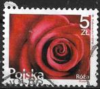 Polen 2015 mi.4789 flora ROOS  nom. 5 Zl, Verzenden, Polen, Gestempeld