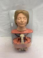 Anatomic Anne Jaren 50, Ophalen