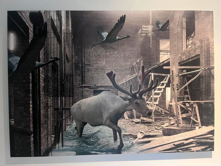 Kunstwerk - fotografie Merit de Jong, Antiek en Kunst, Kunst | Tekeningen en Foto's, Ophalen