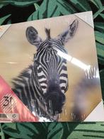 Zebra schilderij, Zo goed als nieuw, Ophalen