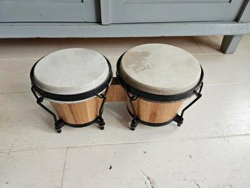 Bongo's beschikbaar voor biedingen