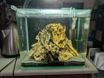 20 liter aquarium met toebehoren, Dieren en Toebehoren, Vissen | Aquaria en Toebehoren, Ophalen, Zo goed als nieuw, Leeg aquarium