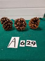 Dennenappels groot drie stuks , [a629, Ophalen of Verzenden, 'T Olde Gre-j, Info@toldegrej.nl, Endepoelstraat 20f Didam