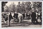 Leeuwarden Veemarkt, Verzamelen, Verzenden, 1940 tot 1960, Gelopen, Friesland