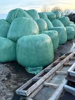 Balen te koop, Dieren en Toebehoren, Dierenvoeding, Ophalen of Verzenden, Vee