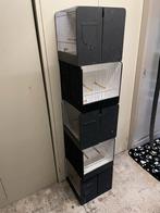 10 Tentoonstellingskooien voor Vogels, Dieren en Toebehoren, Vogels | Kanaries, Meerdere dieren, Kleurkanarie