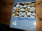 zee egels uit het vuursteeneluvium van hallembaye, Verzamelen, Mineralen en Fossielen, Ophalen of Verzenden, Fossiel