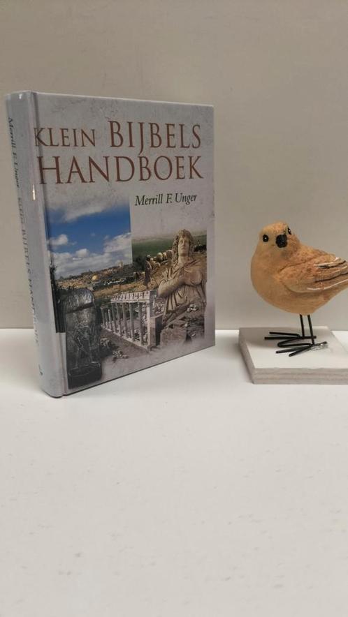 Unger, Merrill F.; Klein Bijbels handboek, Boeken, Godsdienst en Theologie, Gelezen, Christendom | Protestants, Ophalen of Verzenden