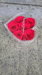 Roses of Eternity Amsterdam - Hartvorm, Ophalen of Verzenden, Nieuw