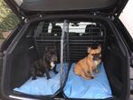 Hondenrek met scheidingsrooster voor Audi Q5, Ophalen, Gebruikt