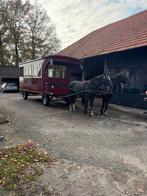 paarden tram, Dieren en Toebehoren, Rijtuigen en Koetsen, Nieuw, Overige typen, Paard