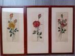 Drie etsen rozen van Tjitske Elisabeth Tiele-Modderman, roos, Antiek en Kunst, Ophalen of Verzenden
