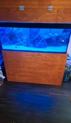 Hele mooie zeeaquarium, Ophalen, Gevuld zeewateraquarium