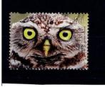 vogel Polen, Ophalen of Verzenden, Gestempeld, Dier of Natuur