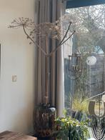 Tk. gedroogde berenklauw, ong 150-160cm, Ophalen, Zo goed als nieuw