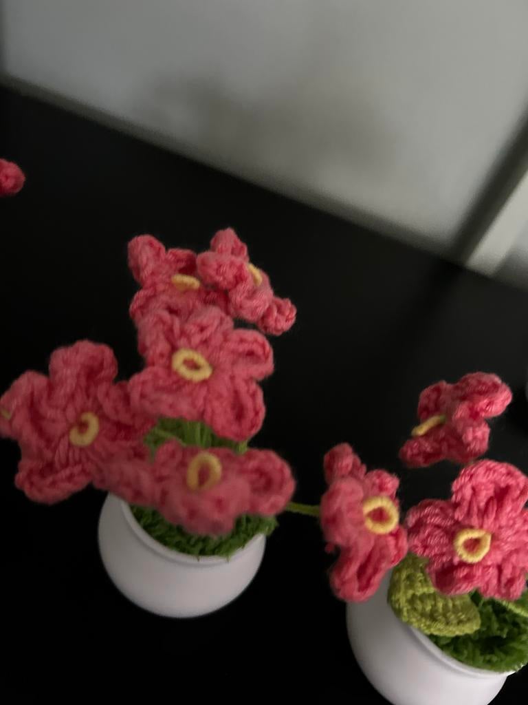 Gehaakte Bloemetjes in Pot, Ophalen of Verzenden, Nieuw