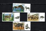 angola 2018 pf serie wildlife zoogdieren vogels, Ophalen of Verzenden, Postfris, Dier of Natuur