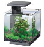 Gezocht !!!!!! SuperFish aquarium QubiQ 15 zwart 15 L, Dieren en Toebehoren, Vissen | Aquaria en Toebehoren, Ophalen of Verzenden