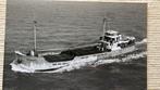 HASEWINT   J. Cremer  1936 -1955 toen Meeuw, Verzenden, Gebruikt, Kaart, Foto of Prent