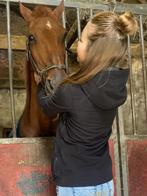 Verzorg paard/pony gezocht ‼️, Vacatures