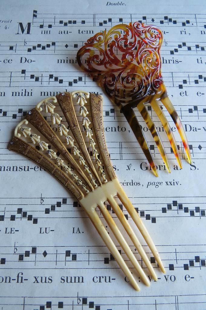 2 x Antiek Frans celluloid haarkam, Auguste Bonaz, c. 1880, Antiek en Kunst, Antiek | Kleding en Accessoires, Dames, Ophalen of Verzenden