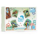 Pixelhobby medaillon thema box vogels sleutelhangers 23902, Hobby en Vrije tijd, Knutselen, Materiaal, ., Nieuw, Ophalen of Verzenden