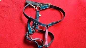 TOPSTAAT QHP Quality Horse Products 20/05 hoofdstel -halster beschikbaar voor biedingen