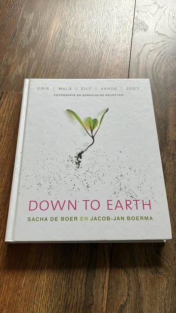 Sacha de Boer - Down to earth beschikbaar voor biedingen