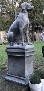 Engelse pointer op sokkel antraciet, Tuin en Terras, Tuinbeelden, Ophalen, Nieuw, Beton, Dierenbeeld