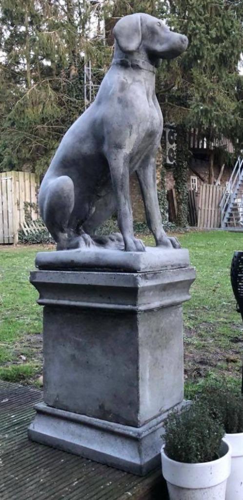 Engelse pointer op sokkel antraciet, Tuin en Terras, Tuinbeelden, Nieuw, Dierenbeeld, Beton, Ophalen