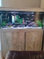 Over Compleet aquarium, Dieren en Toebehoren, Ophalen of Verzenden, Zo goed als nieuw, Gevuld zoetwateraquarium
